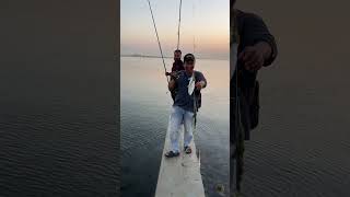 jubail indojubail fishing [upl. by Levitan529]