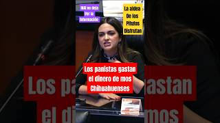 Andrea chávez exhibe a los panistas de Chihuahua por corrupción ultimahora [upl. by Lamoree]