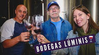 TOUR DE VINOS y VIÑEDOS en Mendoza Argentina 🍇  Visitando BODEGAS LÚMINIS en Maipú 🍷 [upl. by Volding]