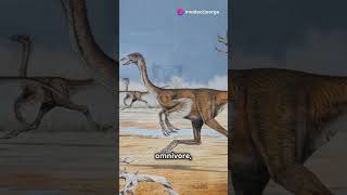 Struthiomimus The Ostrich Mimic facts shorts 🇨🇦 northamerica dinosaur science paleontology [upl. by Breskin7]