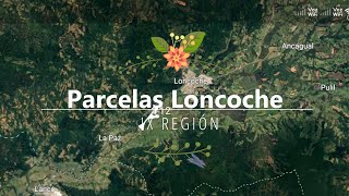 Venta Parcelas Loncoche  Borde de Río [upl. by Leirvag512]