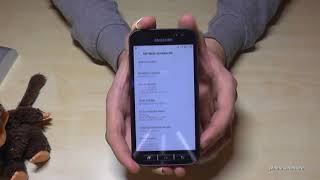 Samsung Galaxy XCover 4 How to enable the developer options for USB Debugging etc [upl. by Barny]