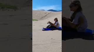 Sledding at Sand Dunes National Park CO dog shiba shorts hottogo dogecoin chibi sanddunes [upl. by Zevahc424]