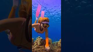 Freediver explores the reef🧜‍♀️ freediver freediving oceansounds underwater mermaidlife asmr [upl. by Hanfurd]