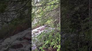 provincial park at the top of Lake Superior [upl. by Ayotahc]