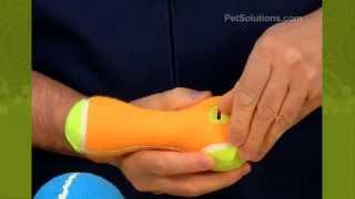 PetSolutions Kong OffOn Squeaker Toys [upl. by Teddi557]