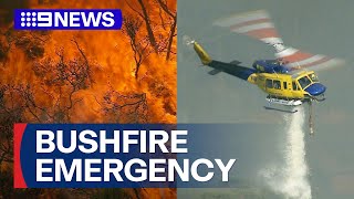 Outofcontrol bushfire erupts on Sydneys northern beaches  9 News Australia [upl. by Irok880]