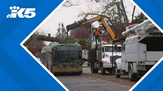 How does recent bomb cyclone compare to past Washington wind storms [upl. by Guthrie]