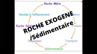 GEOLOGIE Roche exogèneRoche sédimentaire [upl. by Atirec]