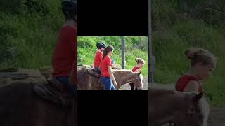 Hippotherapy autism autismacceptance autismfamily horse therapy shorts shortsviral short [upl. by Ruperta]