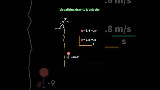 What does 98 ms² really mean Acceleration due to gravity  Class 11 Physics [upl. by Farkas]