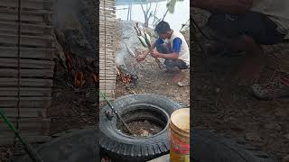 Ikan bandeng bakar makanan enak saat survival survivalskills fishing nature survivalinstinct [upl. by Nwahsat992]