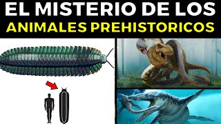 25 Animales Prehistóricos Ya Extintos Que Siguen Sorprendiendo A Los Científicos [upl. by Osnofedli421]