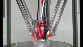 FLSUN Delta 3D Printer Time Lapse [upl. by Bondie672]