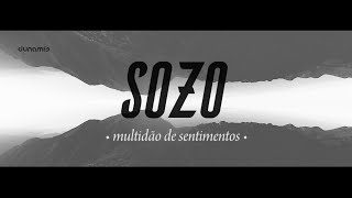 SOZO  Multidão de Sentimentos Lyric Video  2016 [upl. by Esiouqrut740]