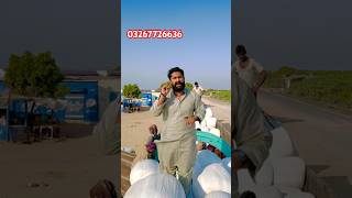 Silage ki bari sales karachi me Karachisilage silage2024 karachi agriculture cattlesfarms [upl. by Valina]