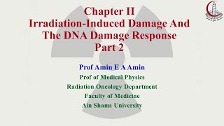 Basic Clinical Radiobiology Chapter 2 Lecture 2 [upl. by Alodie]