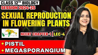 Pistil Megasporangium  Sexual Reproduction in Flowering Plants  Class 12 Biology Chapter 1  L4 [upl. by Arabela]