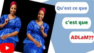 Quest ce cest que ADLaM INTRO [upl. by Citarella]