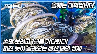 가성비 미쳤다 60마리에 단돈 만 원 무려 3톤을 건져 올렸다 어획량 작년의 2배 당일 조업 당일 배송 속초 양미리 어선│극한직업│골라듄다큐 [upl. by Abshier]