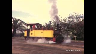 Steam Locomotives in the Queensland Canefields [upl. by Coltson]