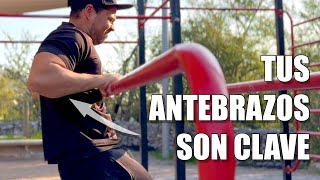 FORTALECE ANTEBRAZOS Y MEJORA LOS MUSCLE UPS  Rutina Antebrazos y Tríceps TODO NIVEL calistenia [upl. by Noraed]