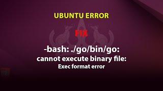 UBUNTU FIX bash gobingo cannot execute binary file Exec format error [upl. by Yanel]