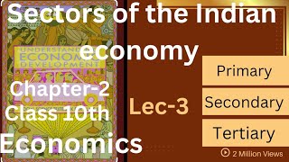 Lecture3 Sectors of Indian economy class 10th Social Science Economics NCERT CBSE board [upl. by Raynold]