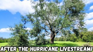 The Kelleys After The Hurricane Livestream 9292024 [upl. by Mcloughlin483]