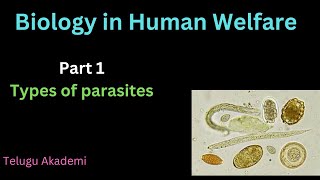 Biologyinhumanwelfare Part 1 Types of parasites neet telangana eamcet zoology shortnotes [upl. by Elleirua]