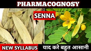 Senna Pharmacognosy  Laxative Drugs  DPharmacy New Syllabus [upl. by Inafetse]