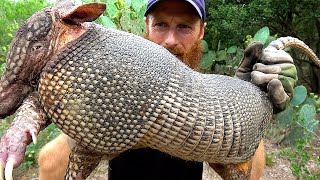 ARMADILLO Hunt with CATCH NET Foraging the Wild for TreeBerries  ASMR Silent [upl. by Hplodur]