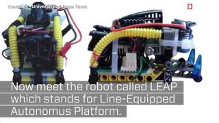 This Robot Can Control Its Flight Like a Real Jumping Spider [upl. by Hartzke]