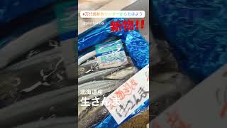 ✨新物✨北海道産 生さんま 万代島鮮魚センター 万代島鮮魚センターからおはよう shorts [upl. by Salguod]