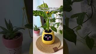 Plants have emotions ☺️🪴 aiplanter plants planter plantlove houseplants [upl. by Chilson]