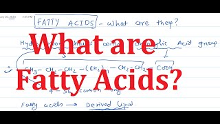 3 Fatty Acids What are they [upl. by Warfold]