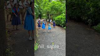 Ganulya majha distoy chhan  direction nilsable sairajkendre ganpati ganpatisong dance song [upl. by Ecyarg]