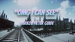 How To Actually See In Tarkov quotfilter guidequot [upl. by Sucramd]