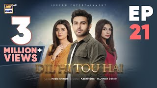 Dil Hi Tou Hai Episode 21  Ali Ansari  Zoya Nasir  28 Oct 2023  ARY Digital [upl. by Willett]