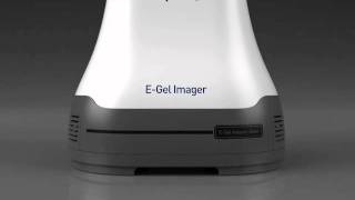 EGel® Imager [upl. by Adnorrehs]