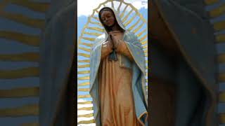 La Oración de Consagración a la Virgen de Guadalupe [upl. by Leidag100]