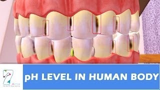 pH Level in human body [upl. by Sanderson]