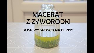 Domowy sposób na poparzenia i blizny  żyworódka macerat [upl. by Nnire]