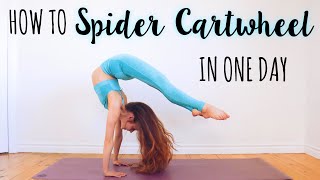 How to do a Spider Cartwheel in One Day [upl. by Francklyn]