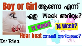 Gender prediction Malayalam  If Ultrasound Show Baby Gender [upl. by Marian]