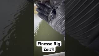 Ist schon JETZT Finesse Rig Zeit  Barschangeln in Berlin  barsch angeln finesse [upl. by Lidia]