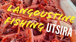 Langoustine Fishing Utsira [upl. by Einnil]