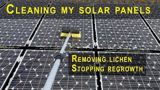 How to clean solar panels and remove lichen [upl. by Ydniahs]