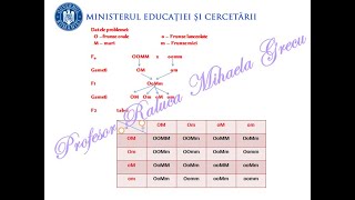 PROBLEME GENETICĂ DIHIBRIDARE REZOLVATE PAS CU PAS  BAC BIOLOGIE VEGETALA SI ANIMALA [upl. by Leidgam]