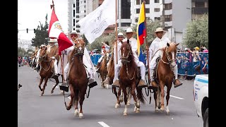 DESFILE DE CABALLOS PERUANOS DE PASO 2019 [upl. by Eidahs]